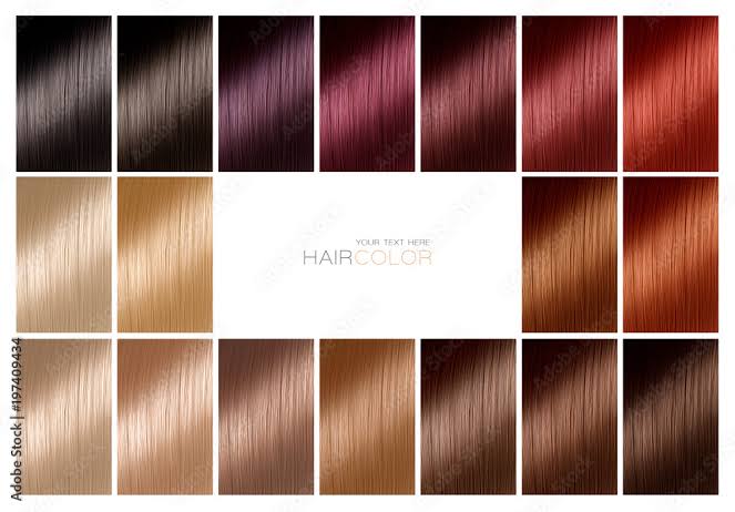 Hari color, images sumber: Adobe stock