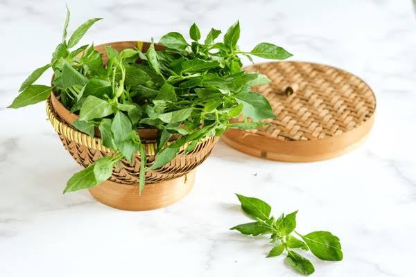 Daun kemangi, images sumber: Shutterstock
