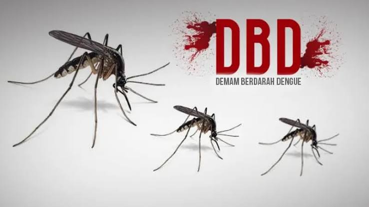 Ilustrasi DBD (IST/Rujukanmedia)