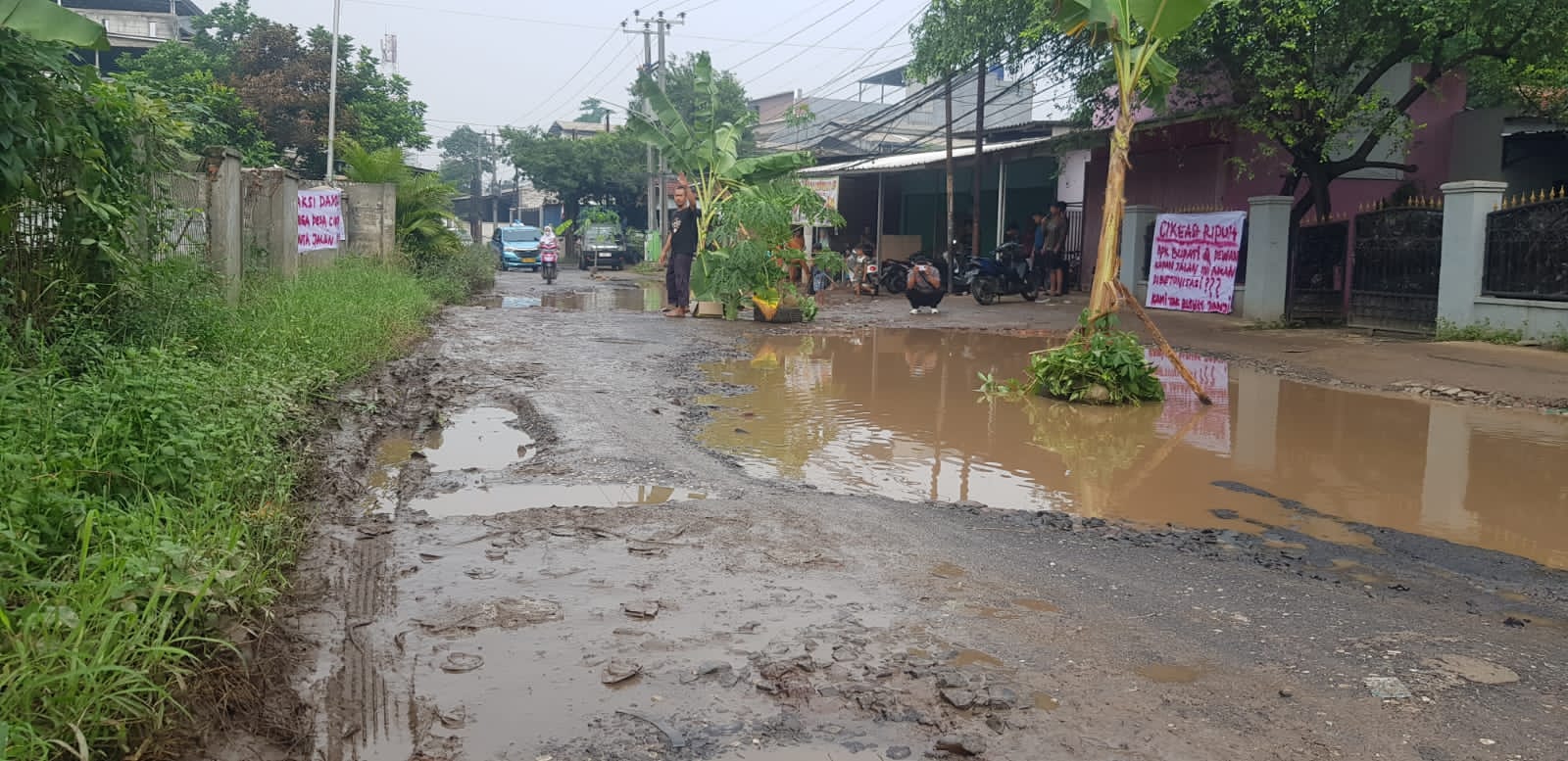 Kondisi jalan di Gunungputri yang ditanami pohon oleh warga (IST/Rujukanmedia)