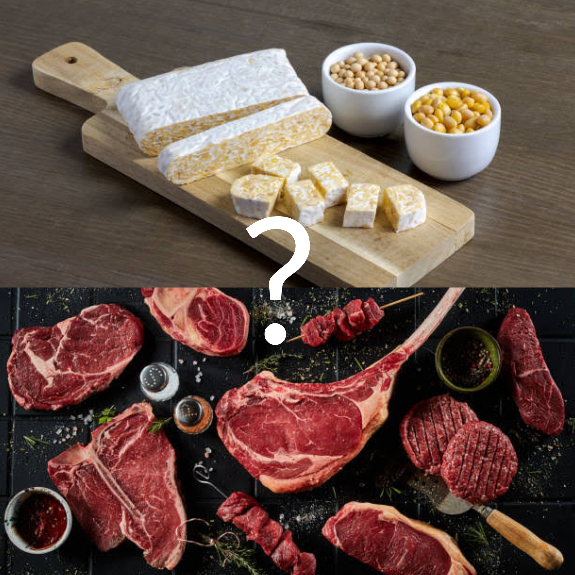 Tempe atau daging nih yang lebih bagus?, images sumber: iStock