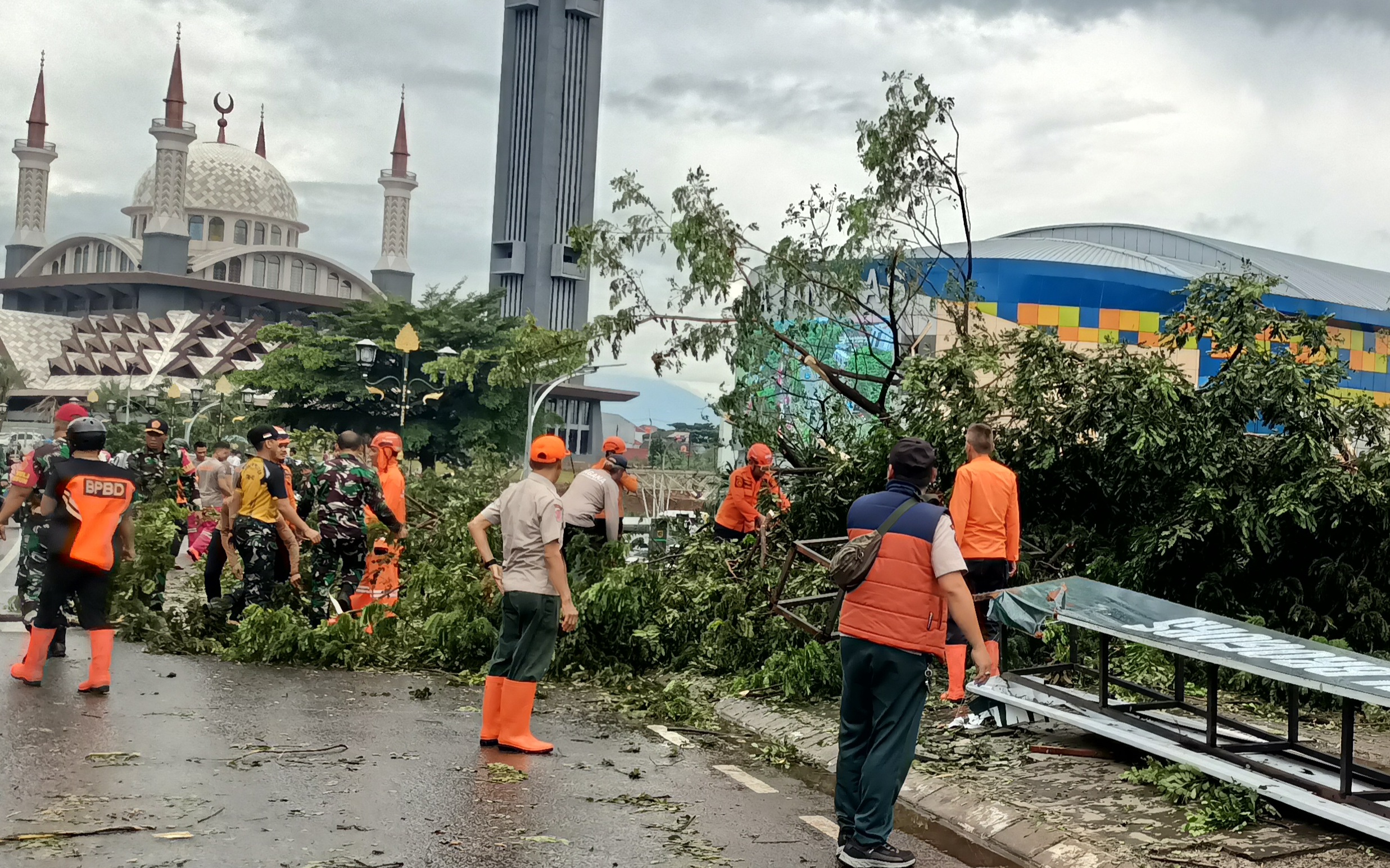 Petugas membersihkan pohon yang tumbang di kawasan Stadion Gelora Pakansari Cibinong, Kabupaten Bogor (Istimewa)
