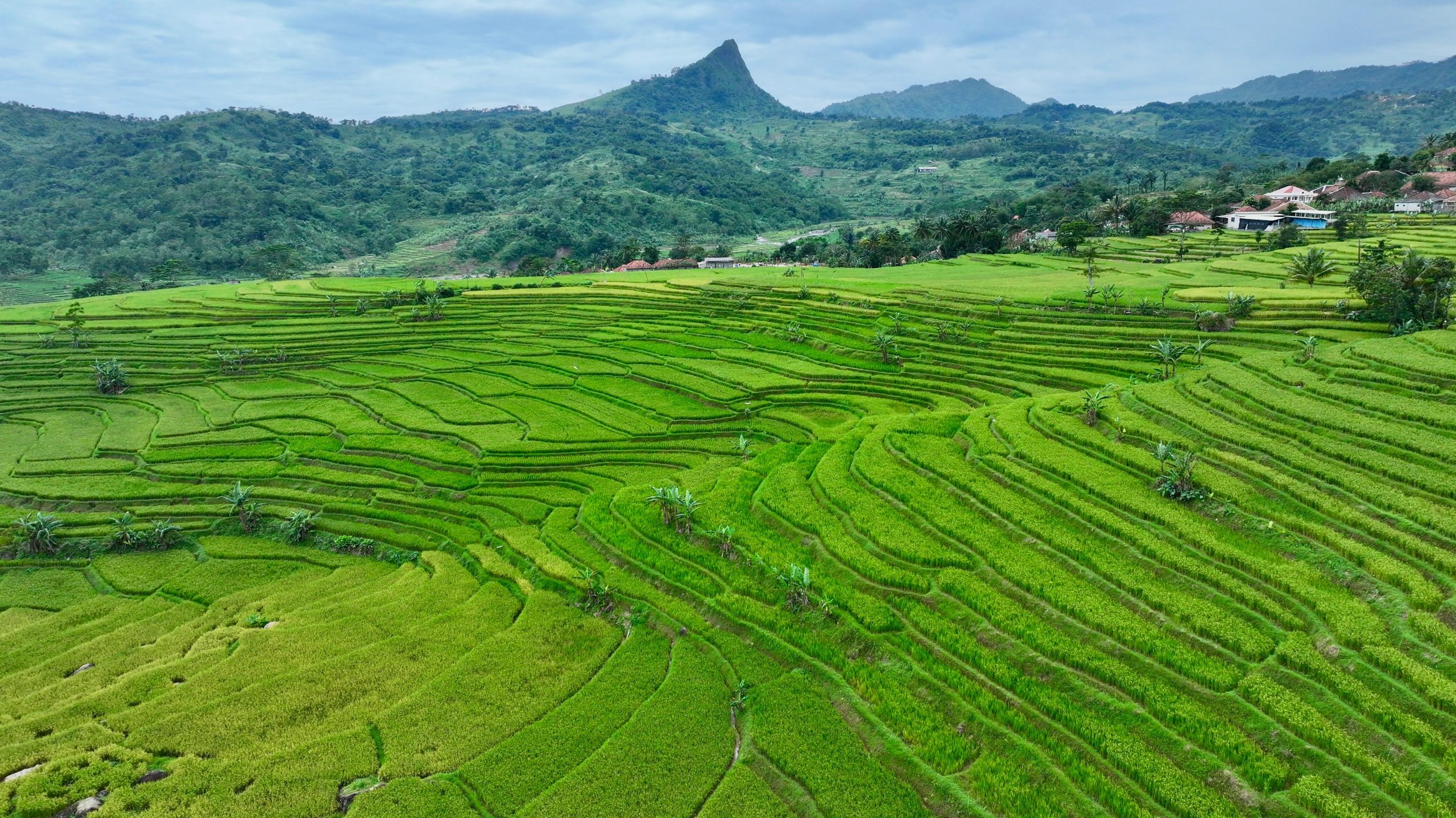 Wilayah Kecamatan Sukamakmur sebagai pusat ekonomi baru di wilayah Timur Kabupaten Bogor (Dok.Diskominfo)