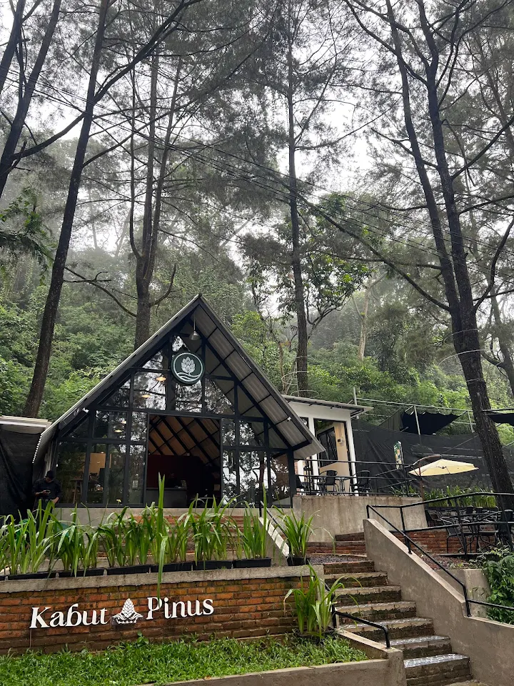 Kabut Pinus, images sumber: Google Crome, Indah DP,