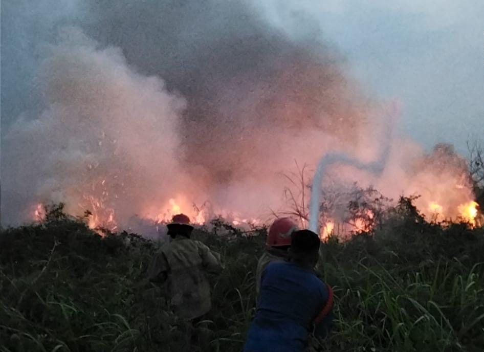 Proses pemadaman api yang membakar lahan di Cileungsi, Kabupaten Bogor (Dok Damkar)