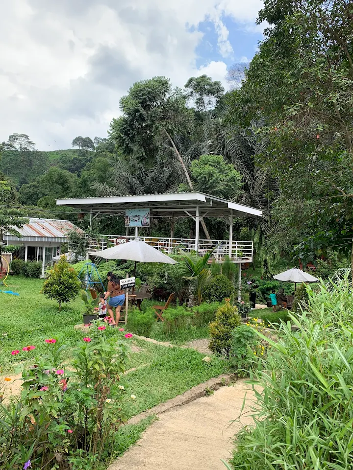 Kopi Tepi Hutan, images sumber: Google Crome,