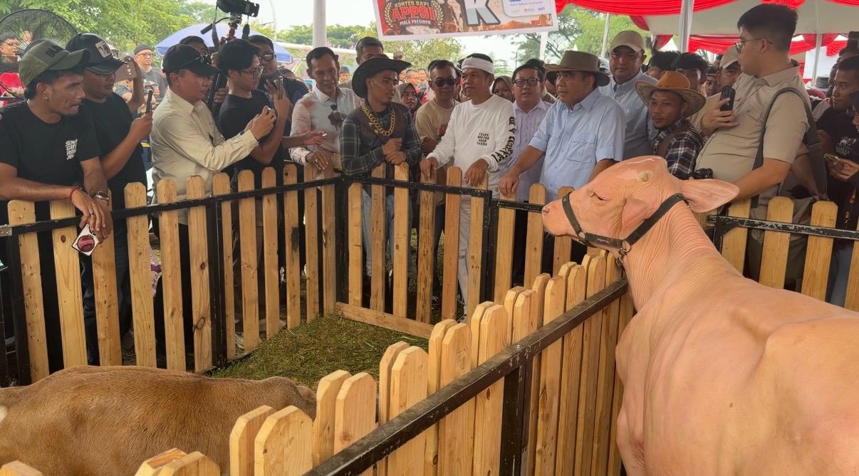 Ketua MPR RI Ahmad Muzani dan Gubernur Jawa Barat Dedi Mulyadi beserta jajaran Pemkab Bogor saat melihat kontes Sapi APPSI Piala Presiden di Pakansari, Kabupaten Bogor (Istimewa)